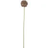 Bloomingville Kunstblumen & Kunstpflanzen-Allium Stiel, Braun, Künstliche Blume