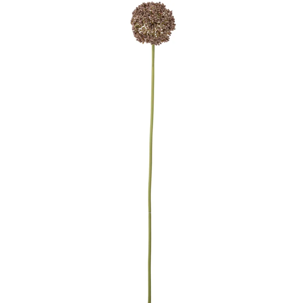 Bloomingville Kunstblumen & Kunstpflanzen-Allium Stiel, Braun, Künstliche Blume