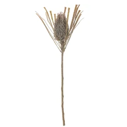 Bloomingville Kunstblumen & Kunstpflanzen-Palmflower Stiel, Künstliche Blume