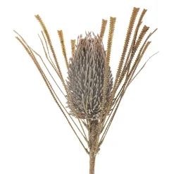 Bloomingville Kunstblumen & Kunstpflanzen-Palmflower Stiel, Künstliche Blume