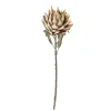 Bloomingville Kunstblumen & Kunstpflanzen-Protea Stiel, Künstliche Blume