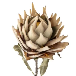 Bloomingville Kunstblumen & Kunstpflanzen-Protea Stiel, Künstliche Blume