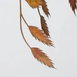 Boltze Herbstdeko|Kunstblumen & Kunstpflanzen-2er Set Dekozweig