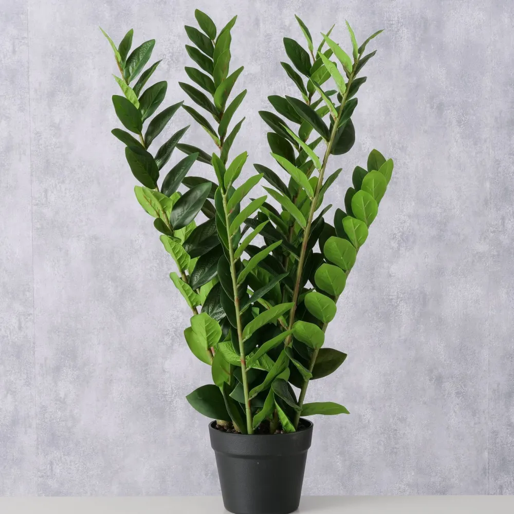 Boltze Kunstblumen & Kunstpflanzen-Topfpflanze Zamioculcas