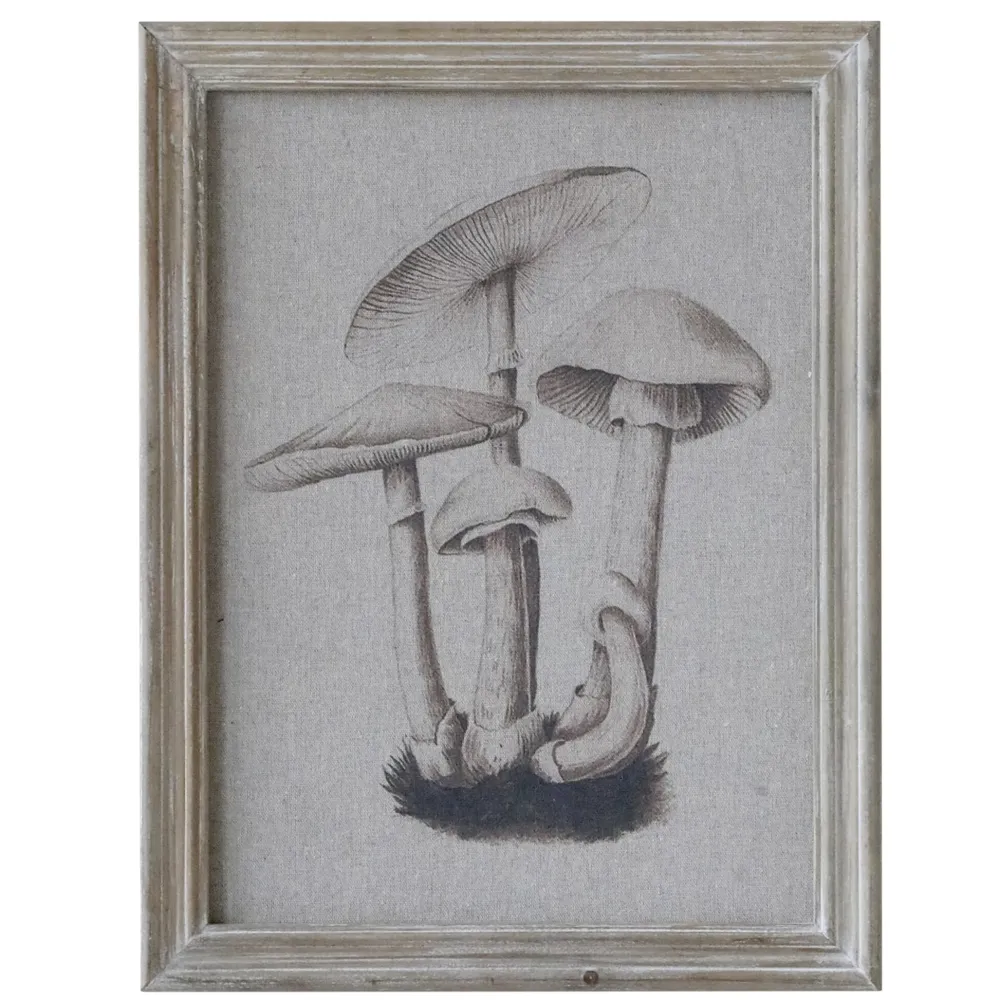 Chic Antique Bilderrahmen|Schilder, Wandbilder & Poster-Bild mit Pilzmotiv und Naturrahmen