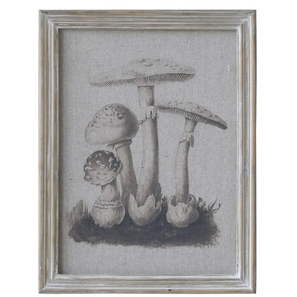 Chic Antique Bilderrahmen|Schilder, Wandbilder & Poster-Bild mit Pilzmotiv und Naturrahmen