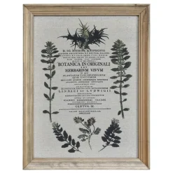 Chic Antique Bilderrahmen|Schilder, Wandbilder & Poster-Bild mit wilden Blumen und Naturrahmen