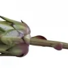 Chic Antique Kunstblumen & Kunstpflanzen-Fleur Artischocke