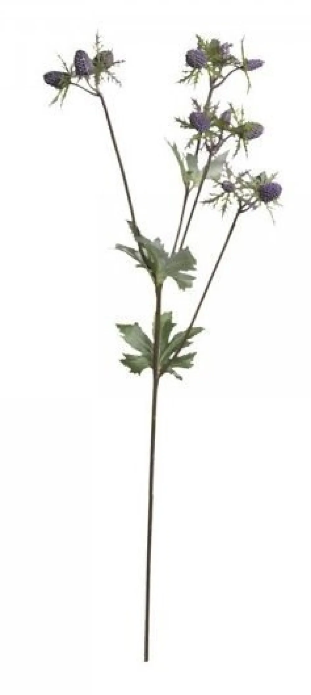 Chic Antique Kunstblumen & Kunstpflanzen-Fleur Distel 1