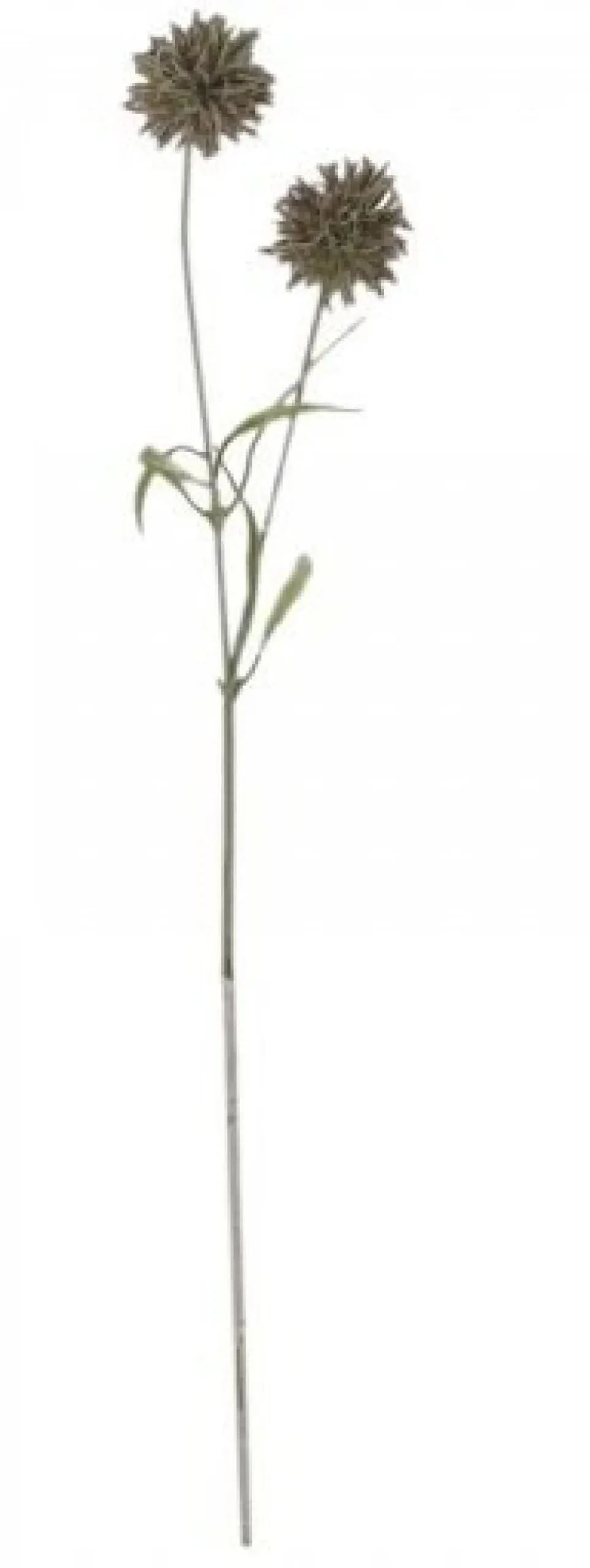 Chic Antique Kunstblumen & Kunstpflanzen-Fleur Distel 2