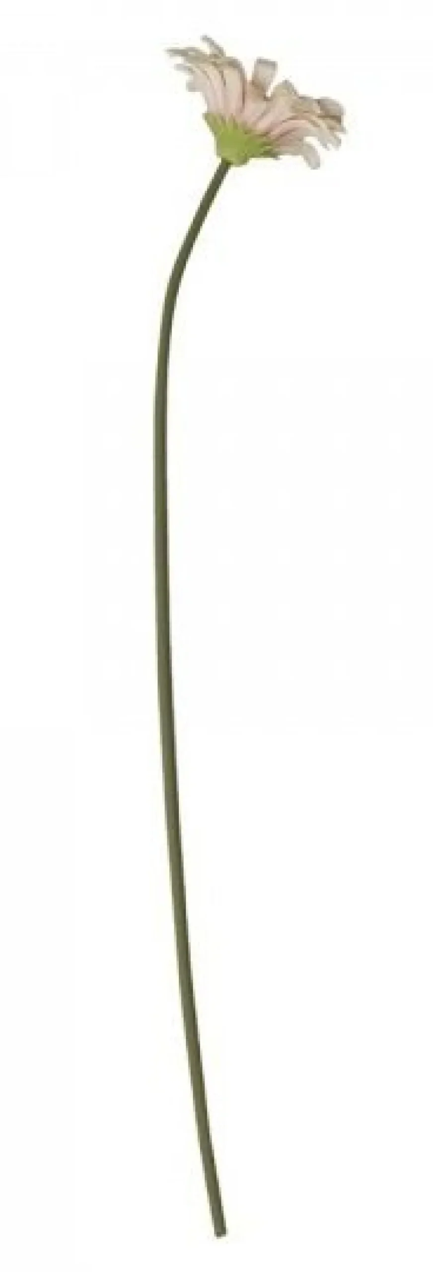 Chic Antique Kunstblumen & Kunstpflanzen-Fleur Gerbera