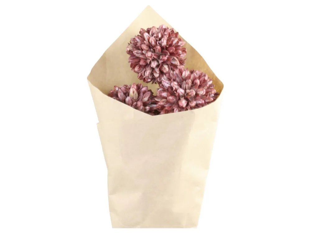 Chic Antique Kunstblumen & Kunstpflanzen-Fleur getrocknete Schneeball Blumen farbig