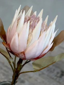 Chic Antique Kunstblumen & Kunstpflanzen-Fleur Kunstblume Protea