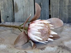 Chic Antique Kunstblumen & Kunstpflanzen-Fleur Kunstblume Protea