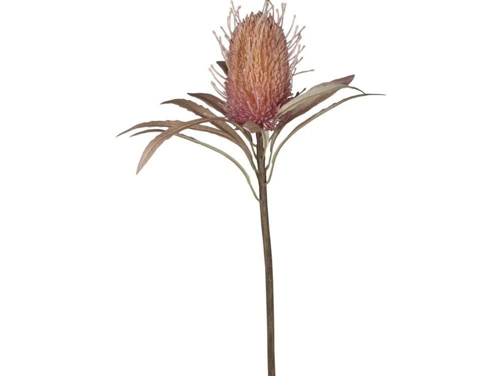 Chic Antique Kunstblumen & Kunstpflanzen-Fleur Protea Blume