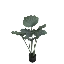Chic Antique Kunstblumen & Kunstpflanzen-Fleur Strahlenpalme Kunstpflanze