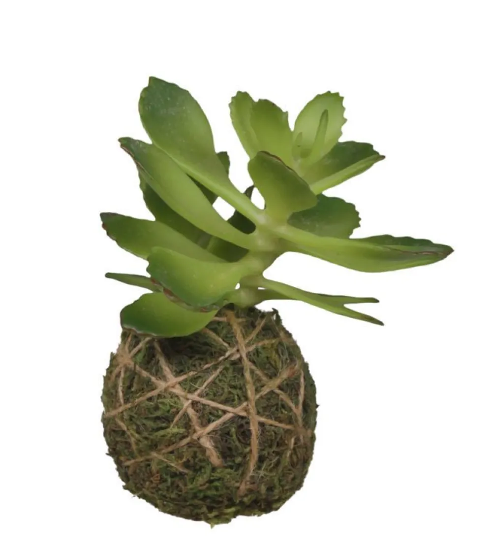Chic Antique Kunstblumen & Kunstpflanzen-Fleur Sukkulente mit Moos Ball