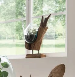 Faktorei Vasen-Deko-Wurzel mit Glasvase in Tropfenform Teak-Holz