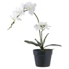 House Nordic Kunstblumen & Kunstpflanzen-Künstliche Orchidee im Topf