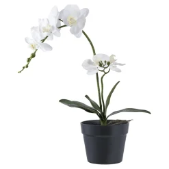 House Nordic Kunstblumen & Kunstpflanzen-Künstliche Orchidee im Topf