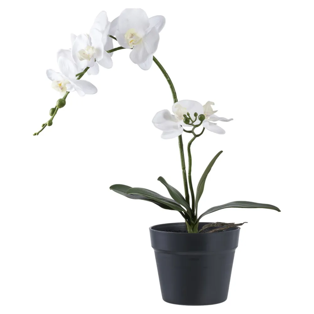 House Nordic Kunstblumen & Kunstpflanzen-Künstliche Orchidee im Topf
