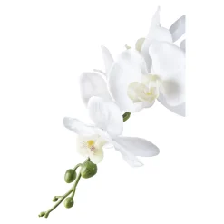 House Nordic Kunstblumen & Kunstpflanzen-Künstliche Orchidee im Topf