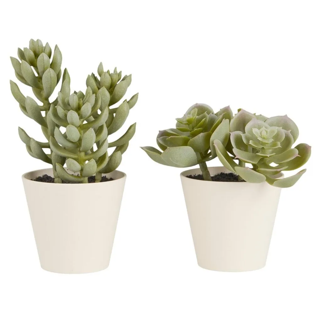 IB Laursen Kunstblumen & Kunstpflanzen-Künstliche Sukkulente 2er Set im Topf Sedum und Echeverie